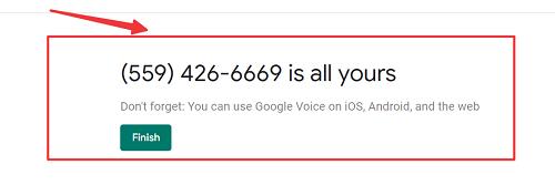Google Voice