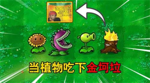 草木大战僵尸金坷垃版下载