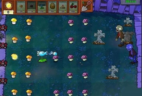 草木大战僵尸安装包