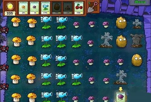 草木大战僵尸安装包