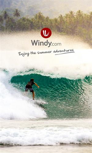 windy气象软件app下载