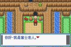 口袋妖怪永恒之焱