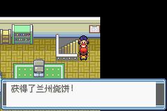 口袋妖怪永恒之焱