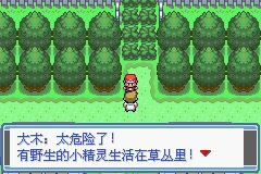 口袋妖怪永恒之焱