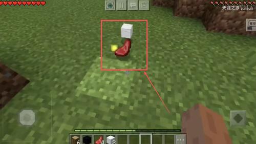 我的全球惊变一百天