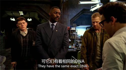 海狗视频无偿追剧安装包