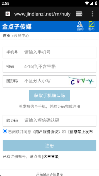 莱芜金点子电子版