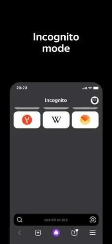 俄罗斯引擎浏览器