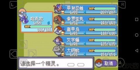 口袋妖怪最强进化