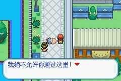 口袋妖怪梦的下载光点