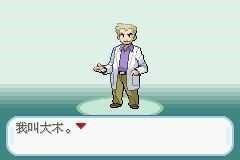 口袋妖怪梦的口袋光点