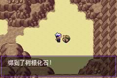 口袋妖怪漆黑的魅影安装包