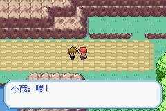 口袋妖怪叶绿中文珍藏版