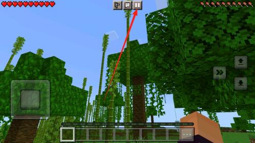 我的全球皮肤版1.19