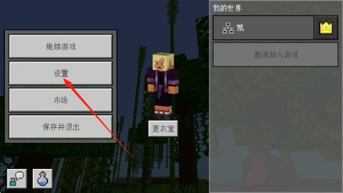 我的全球皮肤版1.19