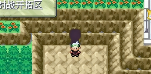 口袋妖怪永恒之沫3.0