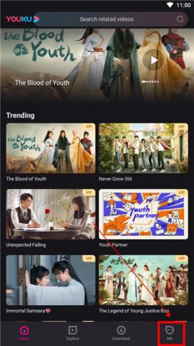 YOUKU国际版下载