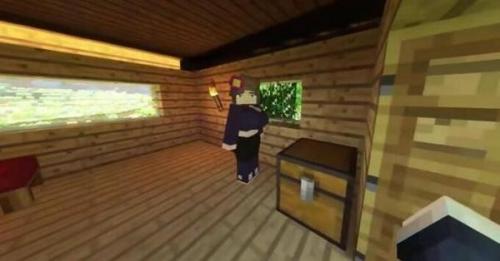 我的全球珍妮模组手机版