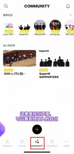 lysn国内版安卓包