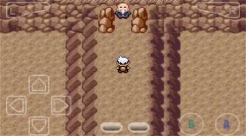 口袋妖怪究极智娜下载