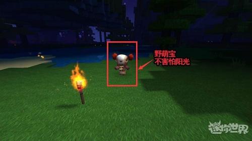 迷你全球单机版