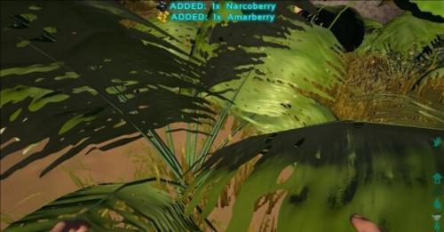 珠宝金店治理软件下载