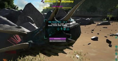 财智通桌面软件2026最新版下载