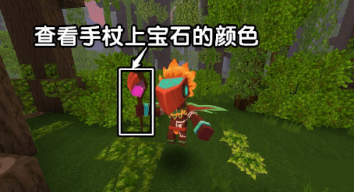 迷你全球雨林生存