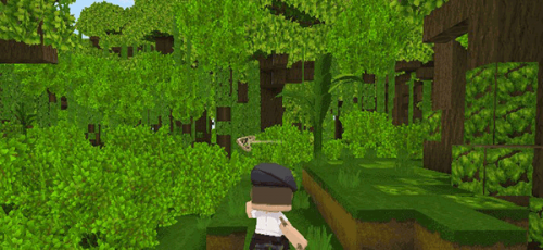 迷你全球雨林生存