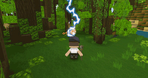 迷你全球雨林生存