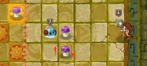 草木大战僵尸2失落之城