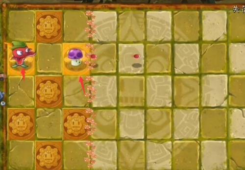 草木大战僵尸2失落之城