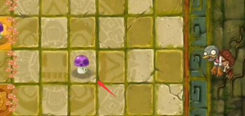 草木大战僵尸2失落之城