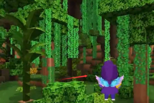 迷你全球雨林版本