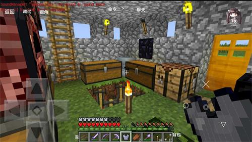 我的全球贝爷振金版下载