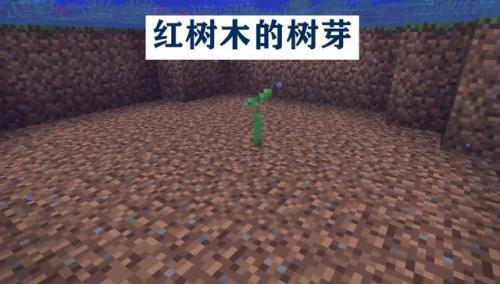 我的全球1.19