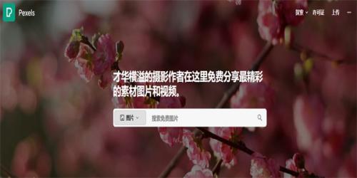 Pexels手机版安装包下载