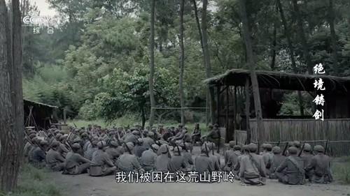 酷看直播TV电视版