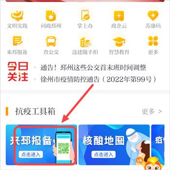邳州银杏甲天下