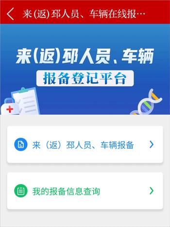 邳州银杏甲天下