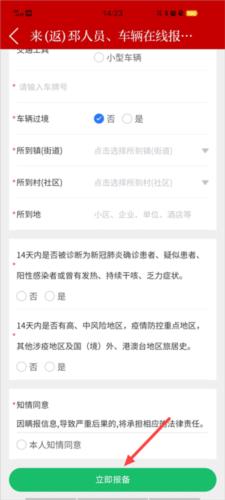 邳州银杏甲天下