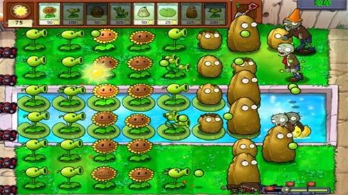 草木大战僵尸手机原版