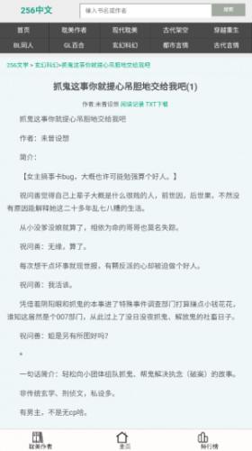256中文小说阅读网