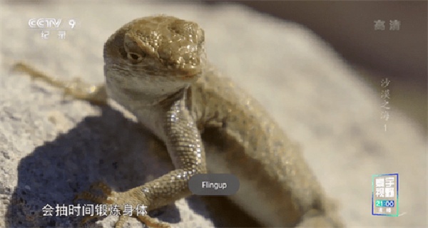 星火互联网电视旧版本下载