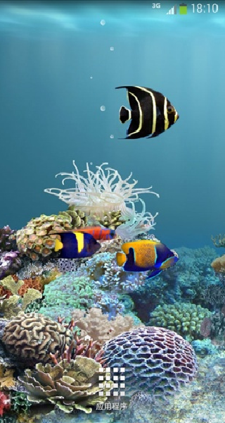 水族馆动态壁纸