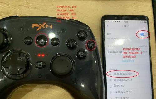 小鸡模拟器官方版