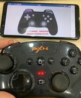 小鸡模拟器官方版