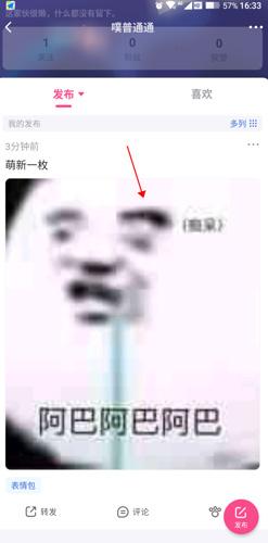 半次元轻量版